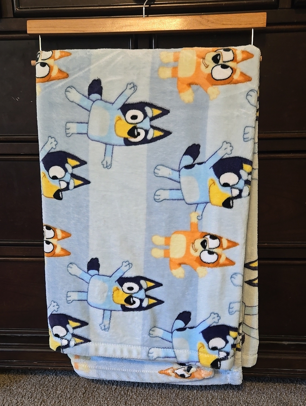 45x60 Bluey & Bingo Plush Blanket